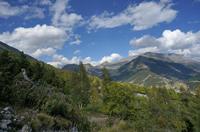 Cjp_2014_10_04_133202.jpg