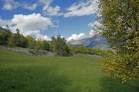 Cjp_2014_10_04_133336.jpg