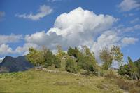 Cjp_2014_10_04_134904.jpg