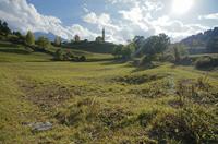Cjp_2014_10_04_143648.jpg