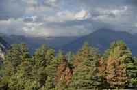 Cjp_2014_10_04_150048.jpg