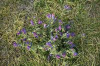 Cjp_2014_10_04_155006.jpg