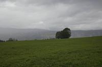 Cjp_2014_10_05_124138.jpg