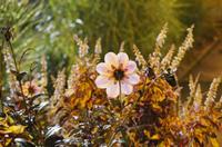 Cjp_2014_10_05_181520.jpg