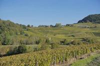 Cjp_2014_10_06_082210.jpg