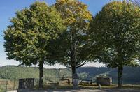 Cjp_2014_10_06_084108.jpg