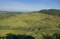 Cjp_2014_10_06_084124.jpg