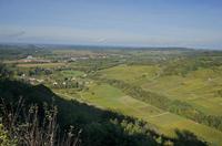 Cjp_2014_10_06_084130.jpg