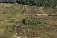 Cjp_2014_10_06_084146.jpg