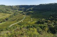 Cjp_2014_10_06_084150.jpg