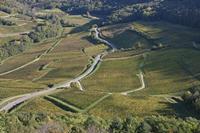 Cjp_2014_10_06_084208.jpg