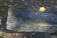 Cjp_2014_10_06_084446.jpg