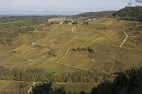 Cjp_2014_10_06_084534.jpg