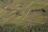 Cjp_2014_10_06_084610.jpg