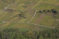 Cjp_2014_10_06_084614.jpg