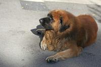 Cjp_2014_10_06_084708.jpg
