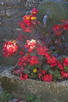 Cjp_2014_10_06_085154.jpg