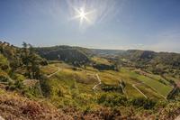 Cjp_2014_10_06_085740.jpg