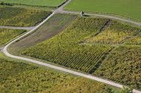 Cjp_2014_10_06_085912.jpg