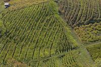 Cjp_2014_10_06_085954.jpg