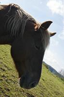 Cjp_2014_10_06_091310.jpg