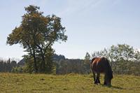 Cjp_2014_10_06_091348.jpg