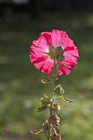 Cjp_2014_10_06_092328.jpg