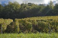 Cjp_2014_10_06_111418.jpg