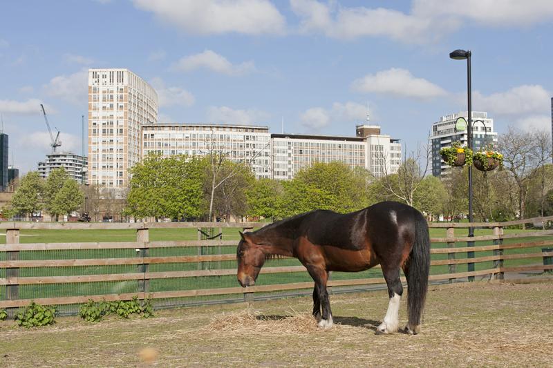 Cjp_2015_04_18_081622.jpg