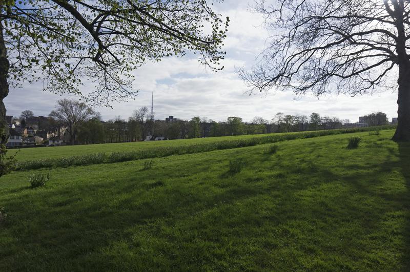 Cjp_2015_04_19_074034.jpg