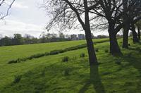 Cjp_2015_04_19_073834.jpg