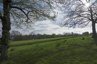 Cjp_2015_04_19_074026.jpg