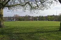 Cjp_2015_04_19_074416.jpg