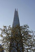 Cjp_2015_04_20_065456.jpg
