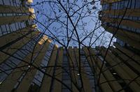 Cjp_2015_04_20_071950.jpg