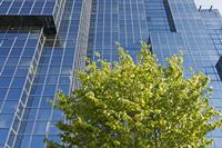 Cjp_2015_04_20_080454.jpg