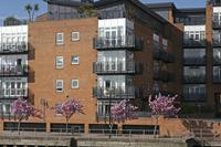 Cjp_2015_04_20_154226.jpg