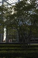 Cjp_2015_04_20_161408.jpg