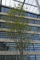 Cjp_2015_04_20_161526.jpg