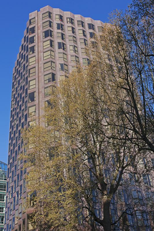 Cjp_2015_04_21_071702.jpg