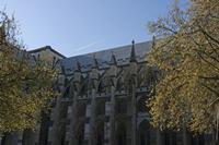 Cjp_2015_04_21_073156.jpg