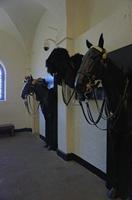 Cjp_2015_04_21_090816.jpg