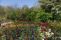 Cjp_2015_04_21_102518.jpg