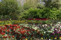 Cjp_2015_04_21_102554.jpg