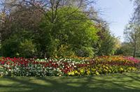 Cjp_2015_04_21_102650.jpg
