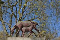 Cjp_2015_04_21_135424.jpg