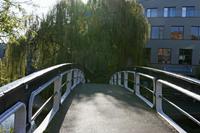 Cjp_2015_04_22_073154.jpg
