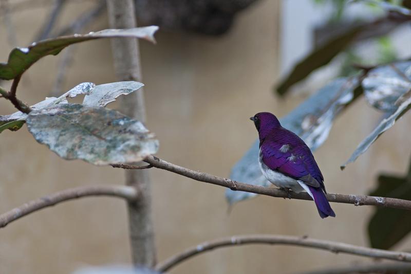 Cjp_2015_04_22_113438.jpg