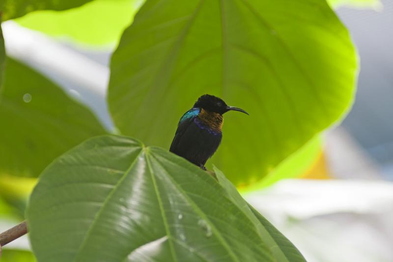 Cjp_2015_04_22_114046.jpg