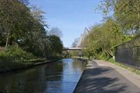 Cjp_2015_04_22_075514.jpg